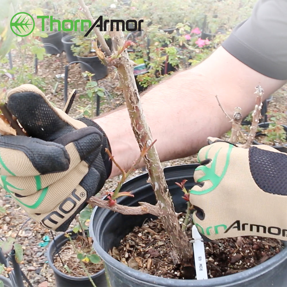 Hexarmor Thornarmor Thorn-Resistant Gloves. Gardening, Landscaping, cactus, rose handling work gloves protexU